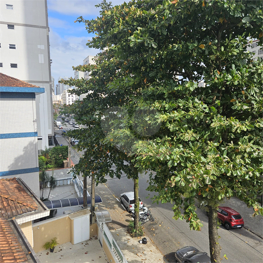 Foto REO1098324