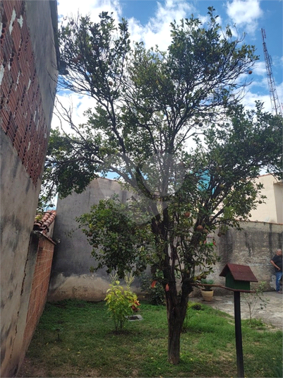 Foto REO1098325