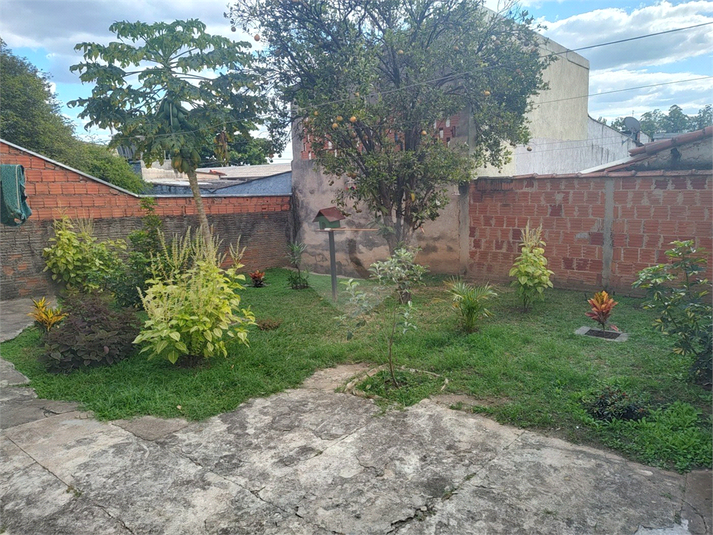 Foto REO1098325
