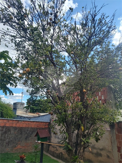 Foto REO1098325