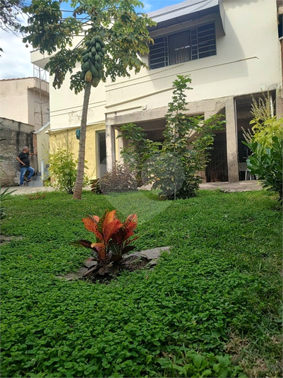 Foto REO1098325