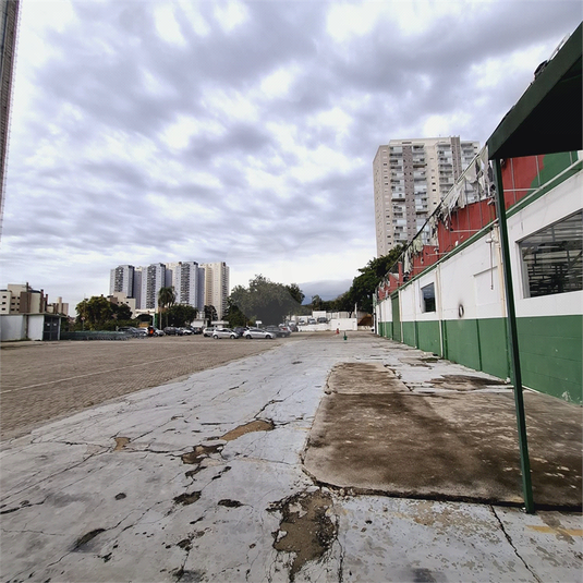Foto REO1098332