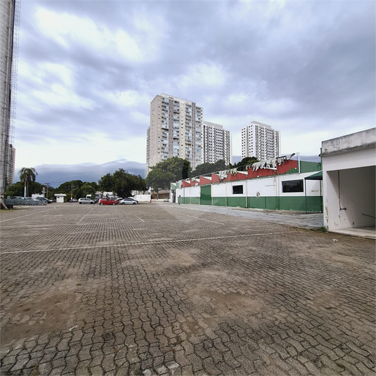 Foto REO1098332