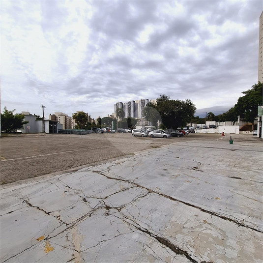 Foto REO1098332