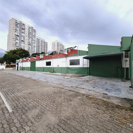 Foto REO1098332