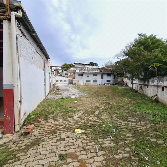 Foto REO1098332