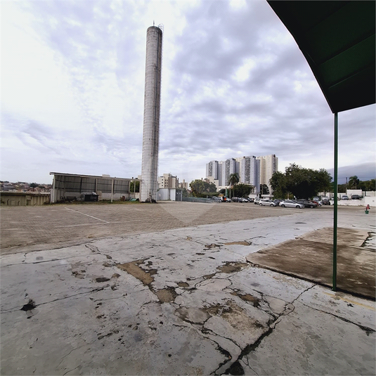 Foto REO1098332