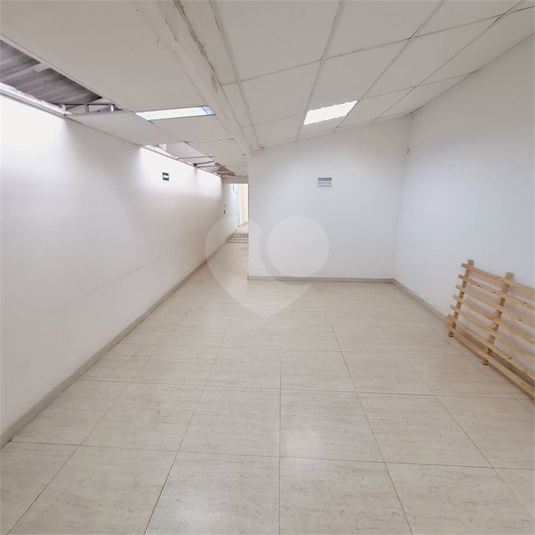 Foto REO1098332