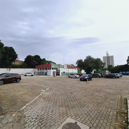 Foto REO1098332