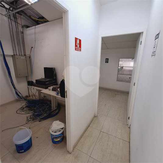 Foto REO1098332