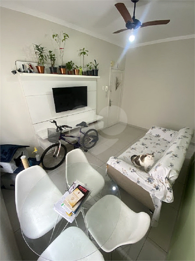 Foto REO1098334