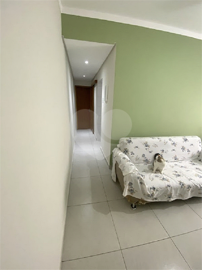 Foto REO1098334