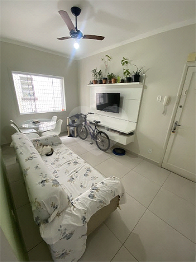 Foto REO1098334