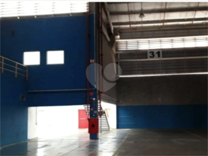 Foto REO1098359