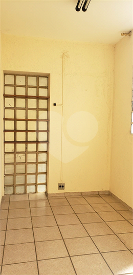 Foto REO1098389