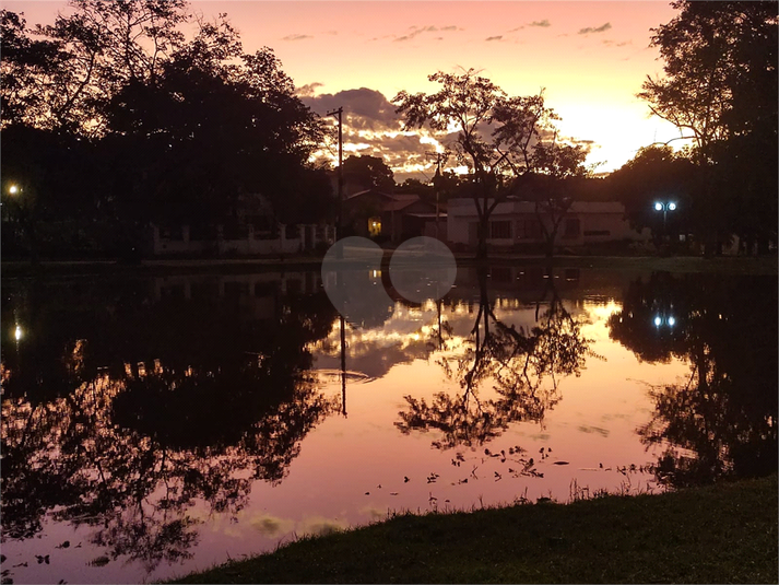 Foto REO1098395