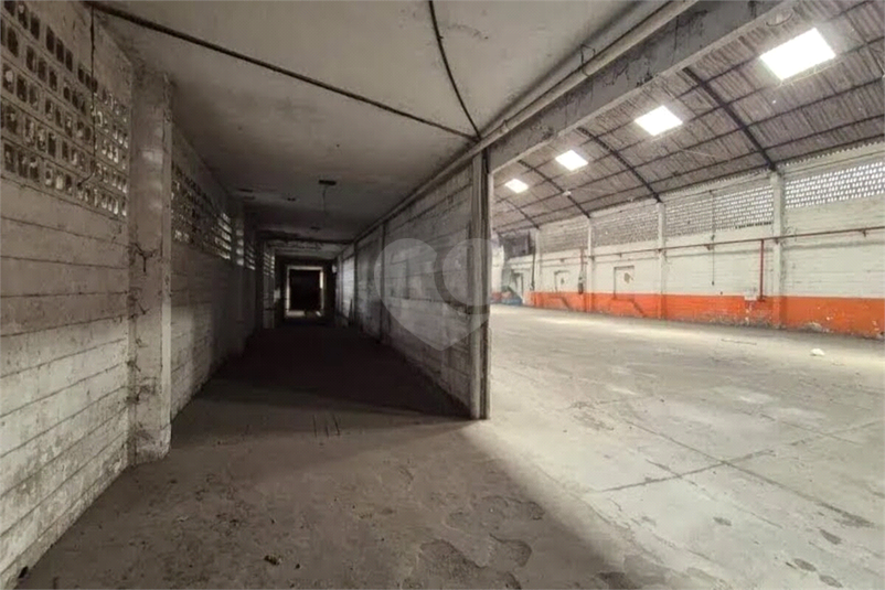 Foto REO1098402