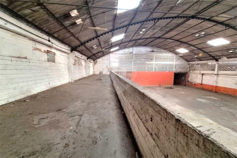 Foto REO1098402