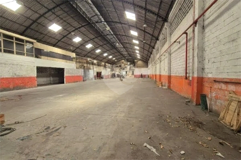 Foto REO1098402