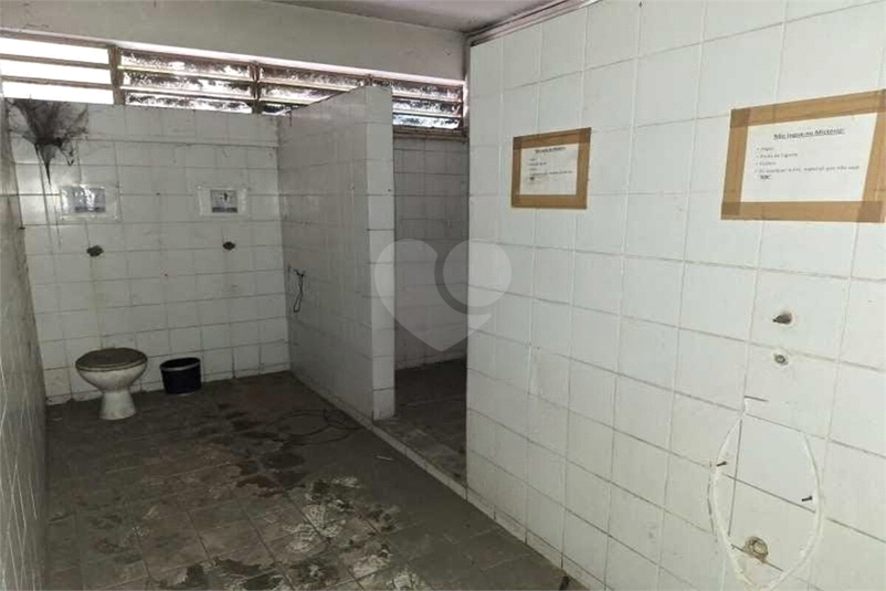 Foto REO1098402