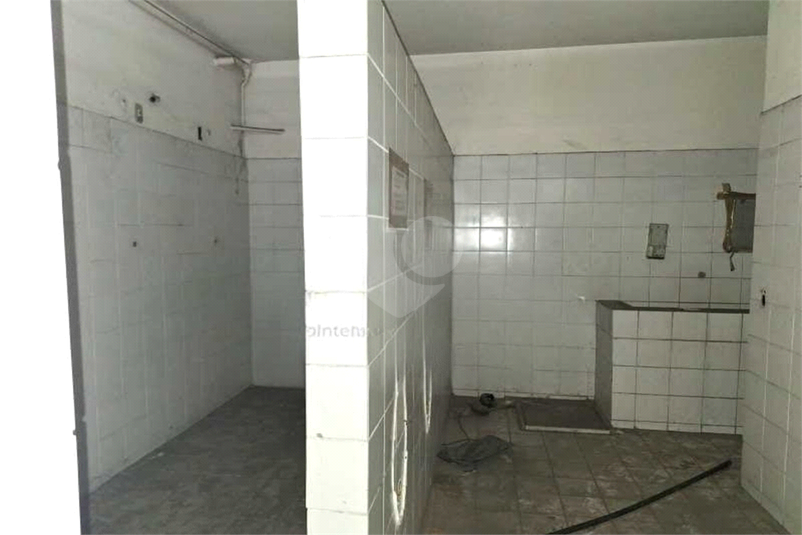 Foto REO1098402