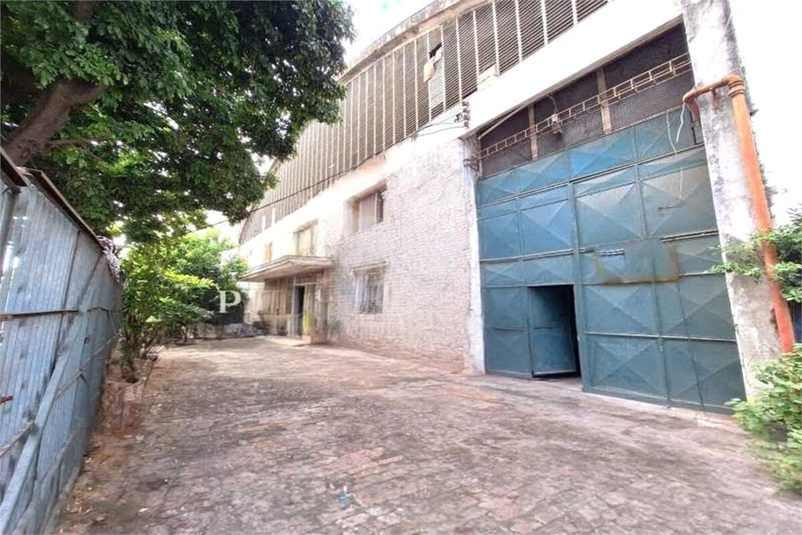 Foto REO1098402