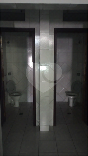 Foto REO1098412