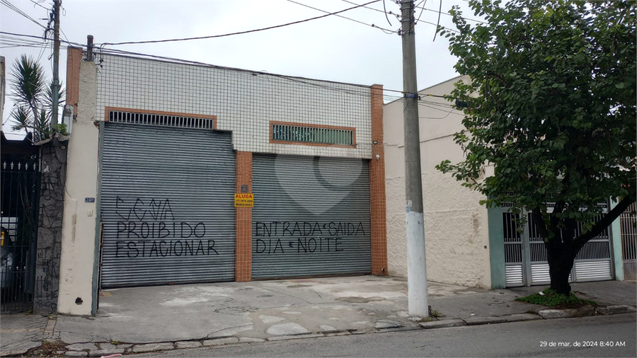 Foto REO1098412