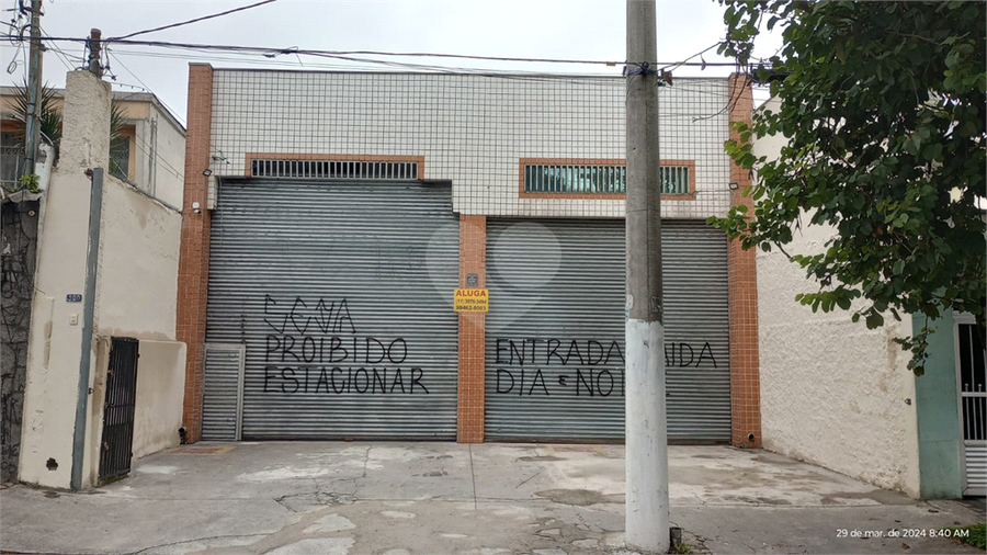 Foto REO1098412