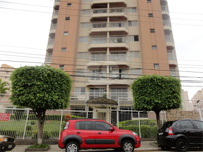 Foto REO1098423