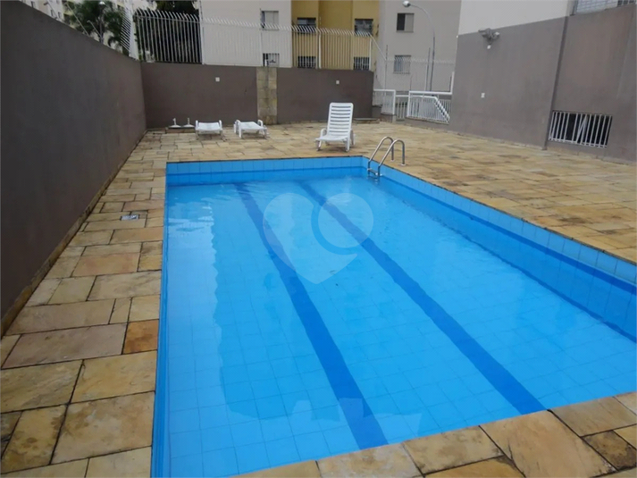 Foto REO1098423