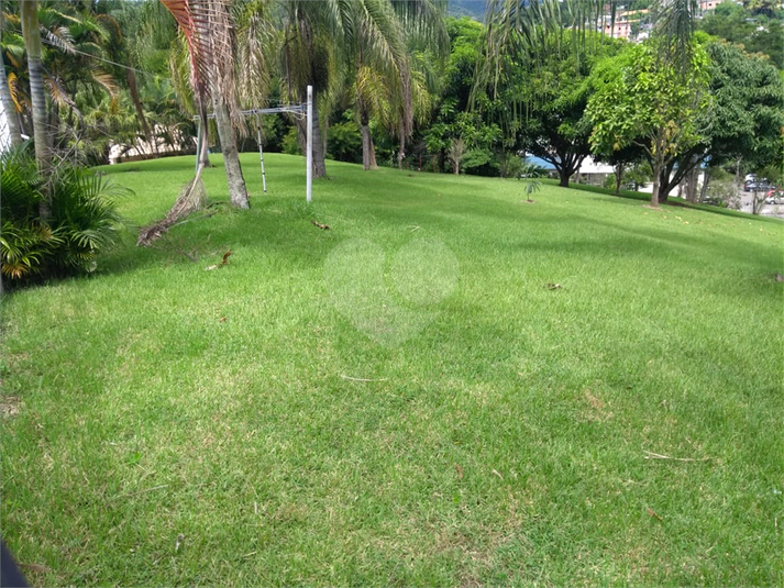 Foto REO1098424