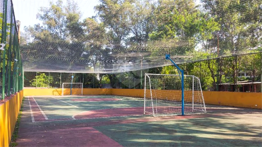 Foto REO1098429