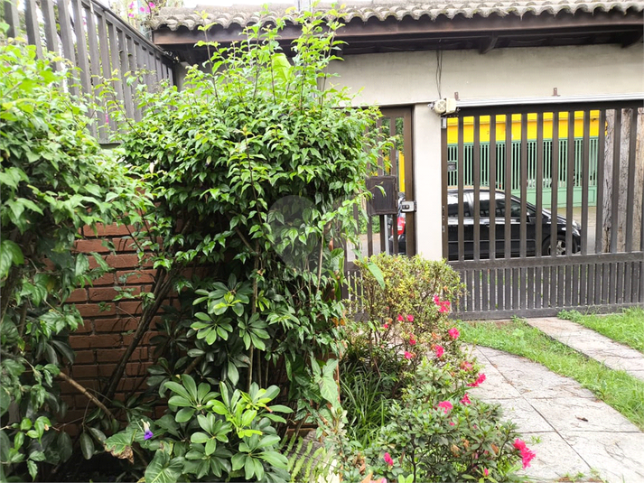 Foto REO1098431
