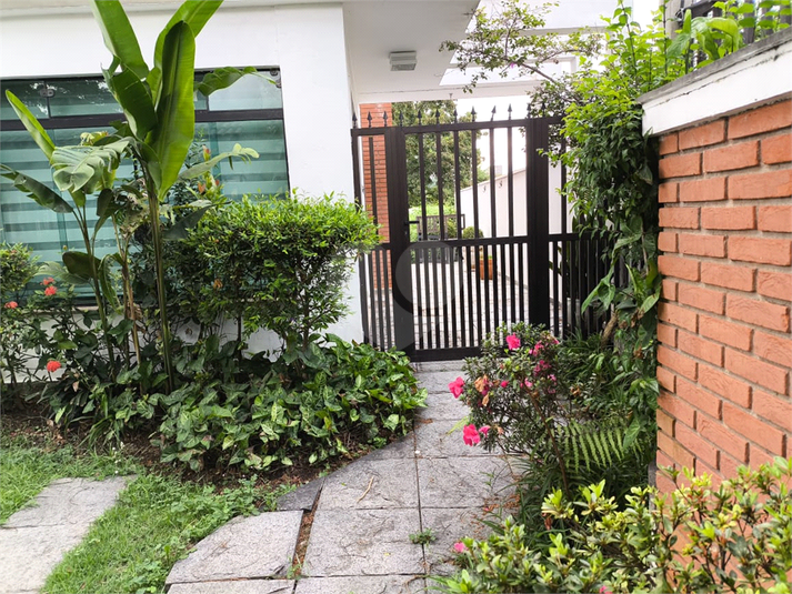 Foto REO1098431