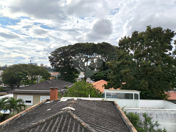 Foto REO1098431