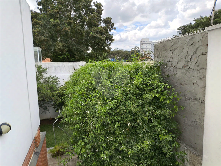 Foto REO1098431