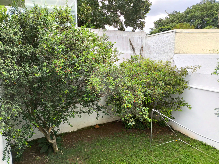 Foto REO1098431