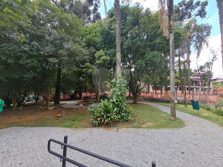 Foto REO1098432