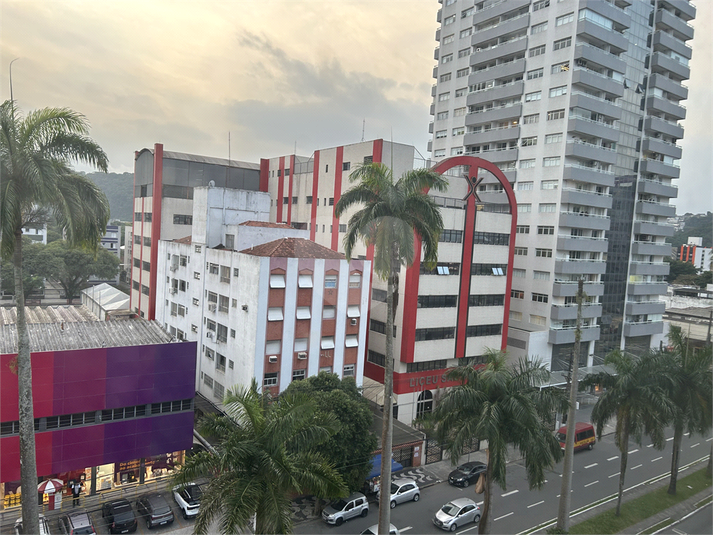 Foto REO1098436