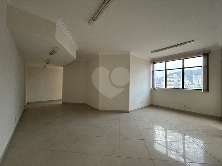 Foto REO1098436