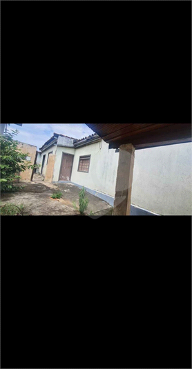 Foto REO1098439