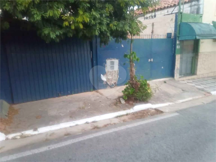Foto REO1098439