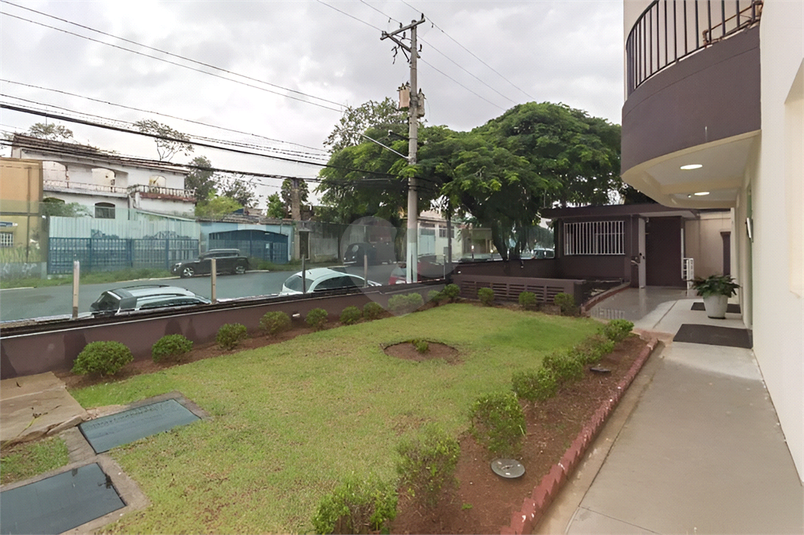 Foto REO1098442