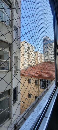 Foto REO1098445