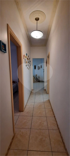 Foto REO1098445