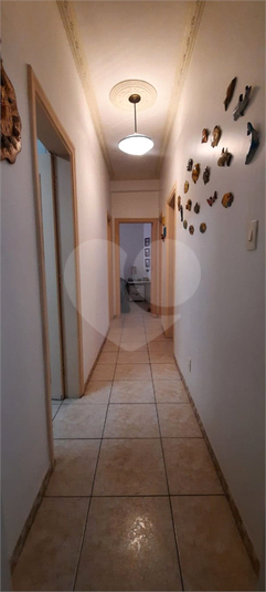 Foto REO1098445