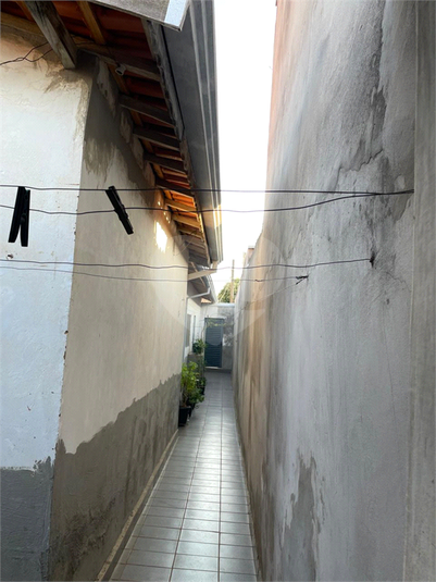 Foto REO1098450