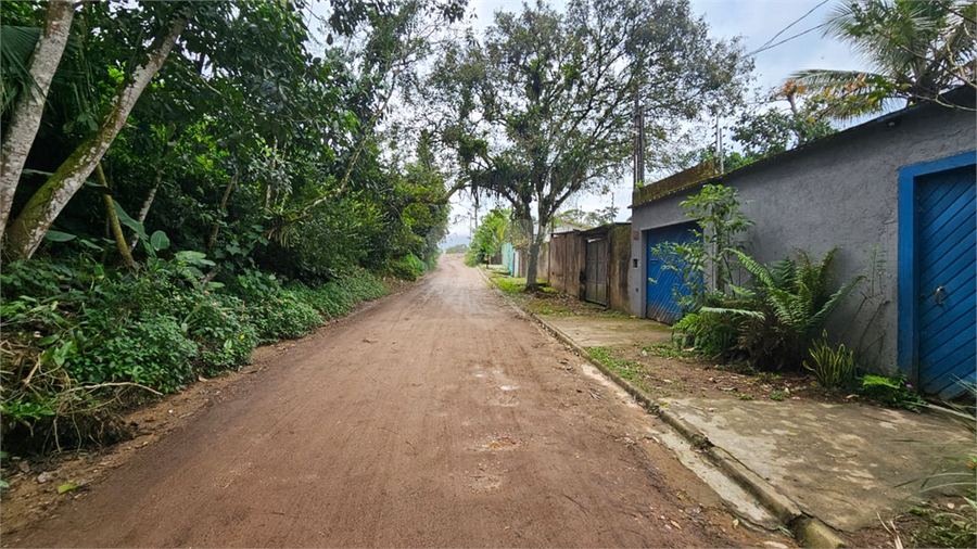 Foto REO1098451