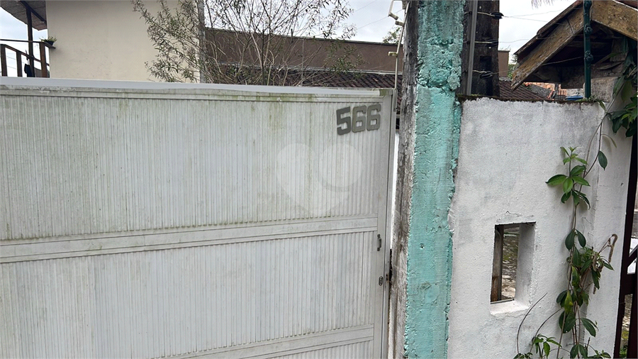Foto REO1098451